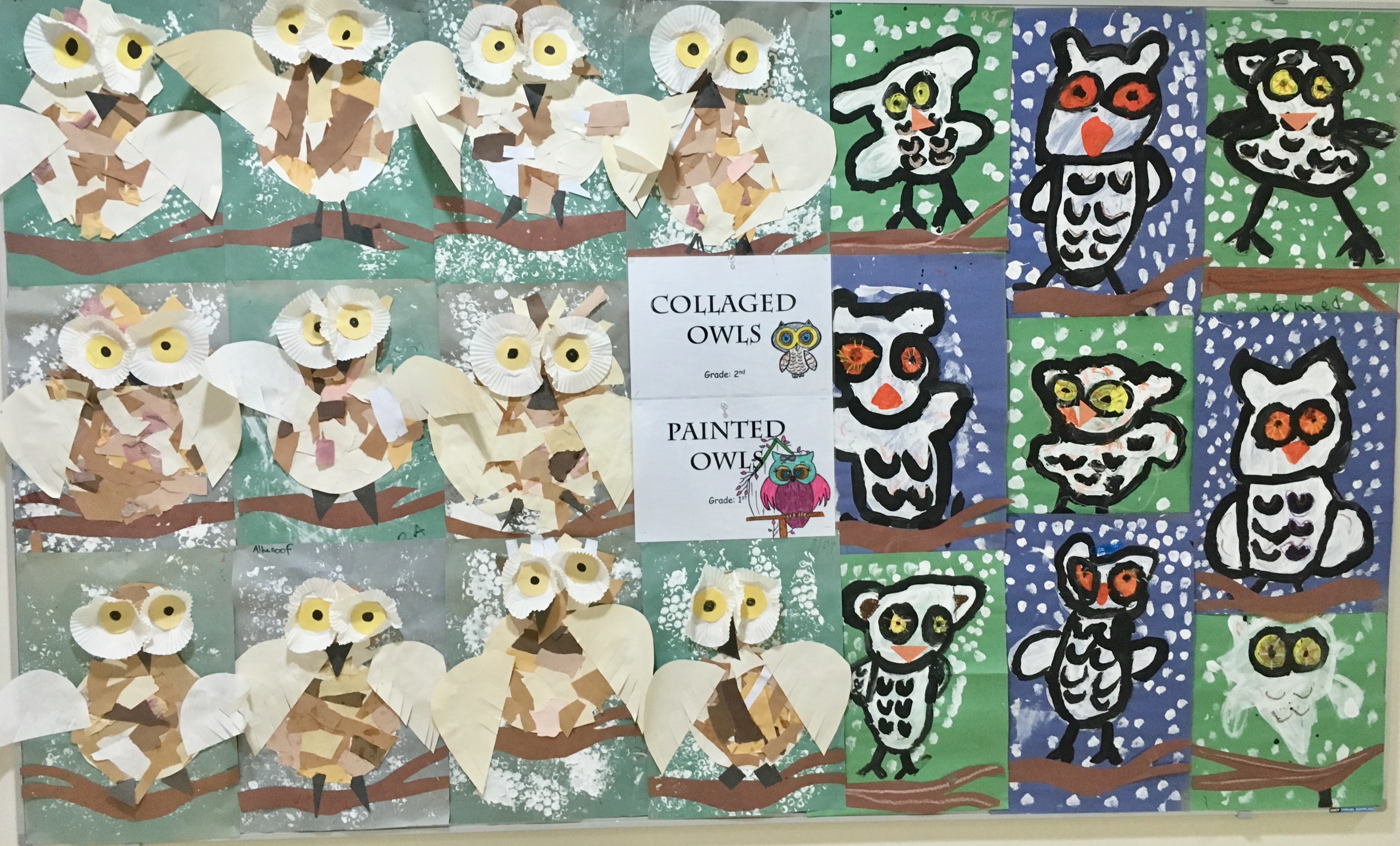 OWLS